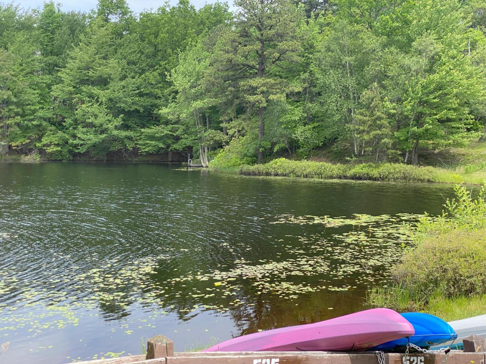 Cozy Pocono Home- Lake, Hot Tub, Waterpark, Hiking Holiday home Long Pond